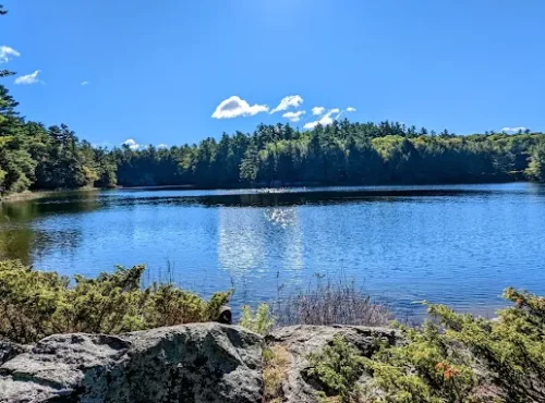 The Massasauga